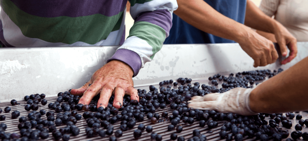 Explore os níveis de venda da Lighter Capital e aprenda como uma qualificação eficaz pode otimizar o funil de vendas, maximizando a eficiência e a taxa de fechamento.