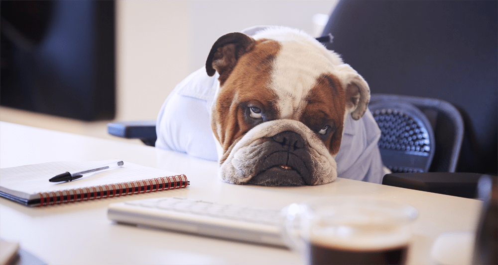 Rejeição ou Objeção? 5 Coisas Comuns Que os Prospects Dizem